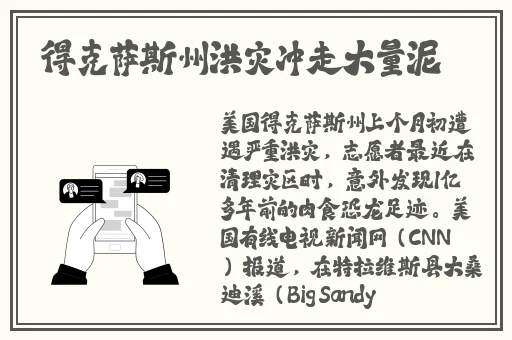 伽罗贤鼠的腿法